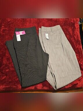 Dots Women's Stretch Dress Pants 17/18